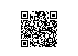 PayPal QR Code